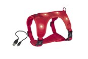 Hunde - Nobby Seletøj Flash Mesh L Rød - L80752-01
