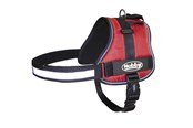 Hunde - Nobby Sele SEGURO Rød - S-M - L80580-01