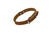 Hunde - Nobby Halsbånd TABIL, 35 cm (26-31 cm), 14 mm, Cognac - L80920-98
