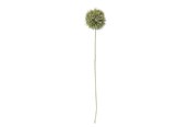 Boligindretning - Bloomingville Allium - 82061466