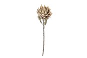 Boligindretning - Bloomingville Protea - 82061468