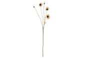 Boligindretning - Bloomingville Poppy - 82061478