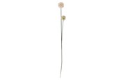 Boligindretning - Bloomingville Phlox - 82061506