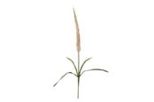 Boligindretning - Bloomingville Foxtail - 82061510