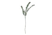 Boligindretning - Bloomingville Eucalyptus - 82061514