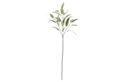 Boligindretning - Bloomingville Eucalyptus - 82061520