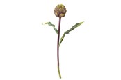 Boligindretning - Bloomingville Protea - 82061523