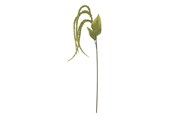 Boligindretning - Bloomingville Foxtail - 82061539