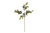 Boligindretning - Bloomingville Eucalyptus - 82072851