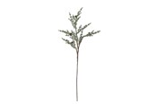 Boligindretning - Bloomingville Pine - 82072349