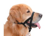 Hunde - Nobby Grime, L, Str. 3 - L79278