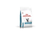 Katte - Royal Canin VET FELINE HYPOALLERGENIC DR25 2.5 kg - 3182550939478