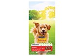 Hunde - PURINA NESTLE Friskies Active - dry dog food - 10 kg - 7613031395484