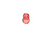 Parfume og dufte - Bvlgari Omnia Coral Eau de toilette - 100 ml - 783320425493