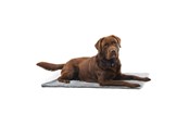 Hunde - KRUUSE Vet Bed, skridsikker, grå, 150 x 75 cm - 381616