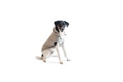 Hunde - Chill Kuzzi Beroligende hoodie, 30 cm, grå - 380430