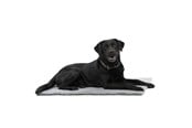 Hunde - KRUUSE Vet Bed, grå, 75 x 50 cm - 381602