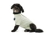 Hunde - KRUUSE BUSTER Body Suit Step´n Go til hunde, XL, Dusty Gre - 273744