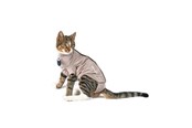 Katte - KRUUSE BUSTER Body Suit Step'n Go til kat, XS - 273948