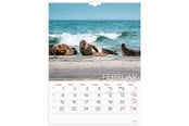 Calendar - Mayland Vægkalender Verdens dyr 2027 - 27066330