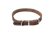 Hunde - Timely PRAG Halsbånd Mørkebrun 25 mm. / 60 cm. - 5907784897022