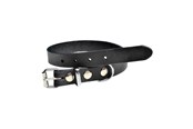 Hunde - Timely PRAG Halsbånd Sort 20 mm. / 50 cm. - 5907784897107