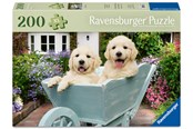 Puslespil - Ravensburger Golden Retriever 200p Ad - 12001368