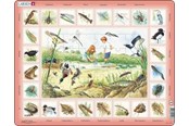Puslespil - Larsen Puzzles Nature Puzzle: Pond – 48 pieces Maxi (36.5 x 28.5 cm) 2D Puslespil - NA3