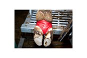 Hest - KRUUSE BOVIVET Hoof Bandage 10/pk - 220420
