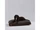 8579006