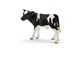 Schleich - Schleich Holstein Kalv - 4005086137981