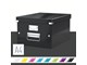 Arkivering & Opbevaring - Leitz Opbevaringsboks Click & Store WOW Medium Sort - 60440095