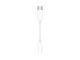 Mobil - Andet Tilbehør - Apple USB-C til 3,5 mm jack‑mellemstik til hovedtelefoner - MW2Q3ZM/A