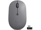 Mus - Lenovo Go USB-C Wireless Mouse (Thunder Black) - Mus - Blue optical - 5 knapper - Sort - 4Y51C21216