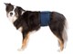 Hunde - Trixie Washable Nappies for Male Dogs M Waist 45-55cm - TX23663