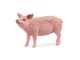 Schleich - Schleich gris - 13933