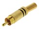 CAGP24900BK