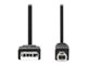 CCGB60100BK10