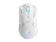 CW917 2.4G+Wired Whi