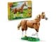 31166