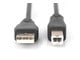 AK-300105-018-S