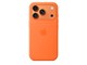 Mobil - Covers & Cases - Apple iPhone 17 Pro Silicone Case with MagSafe – Orange - MGFE4ZM/A