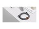 BELT-AC-ZEB-NP