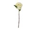 82061515