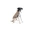380432