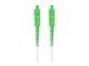 FO-SASA-SS21-0025-WH