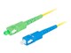 FO-SASU-SS21-0030-YE