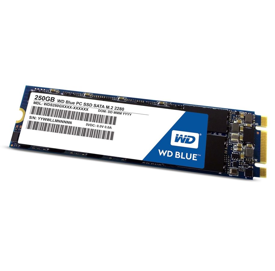 SSD - WD Blue SSD M.2 2280 - 250GB - WDS250G1B0B