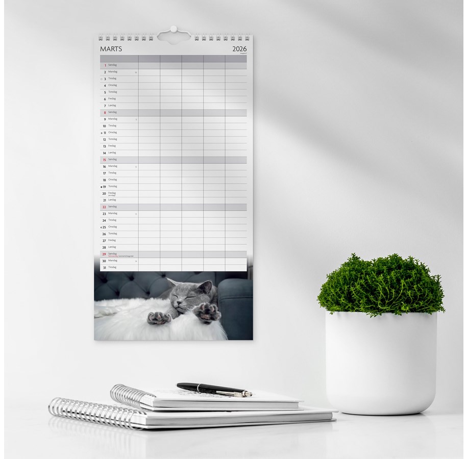 Calendar - Mayland Familiekalender Katte 2026 - 26066140