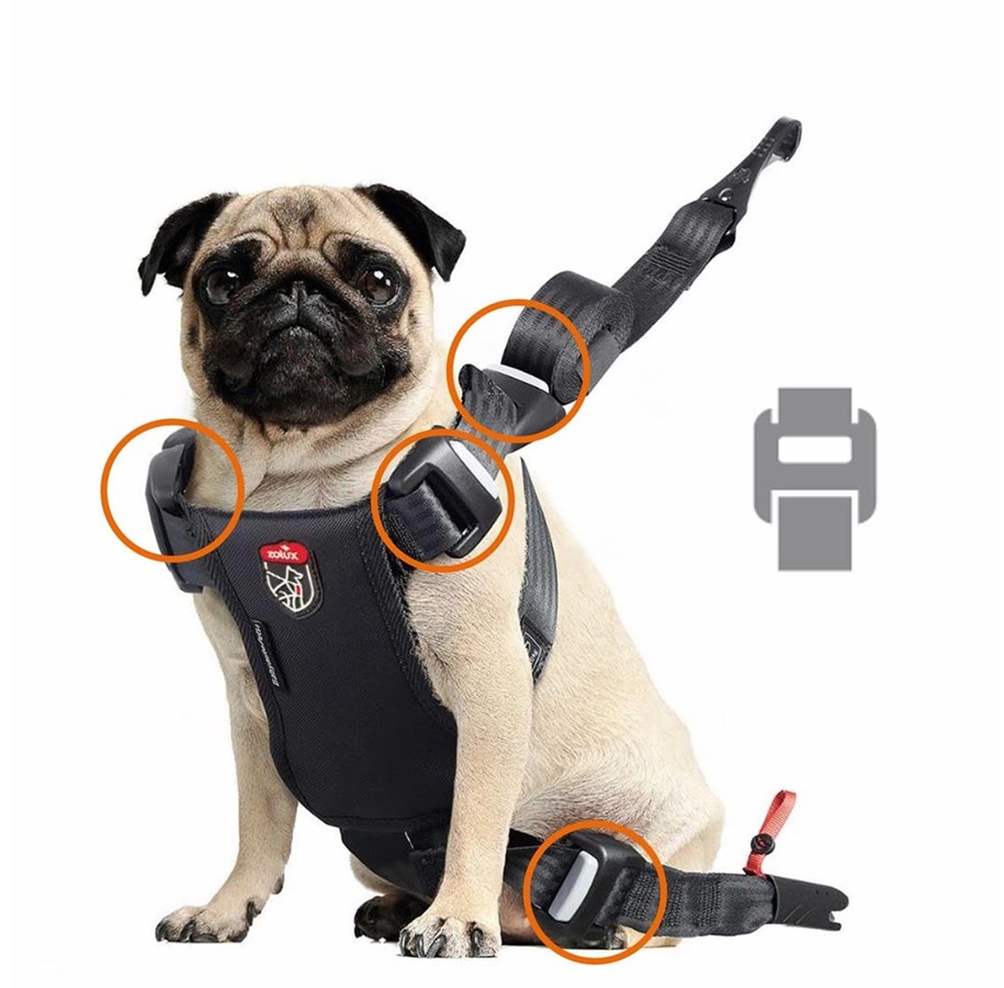 Hunde - Zolux Travel Safe Isofix Car Safety Harness Black Small 7-15kg - 3336024621202